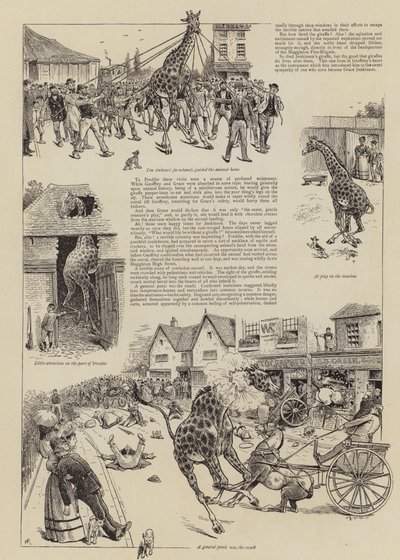La jirafa de Jenkinson de William Ralston